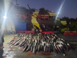 Apreensão de 26 Toneladas de Pescado Ilegal no Amazonas Destaca Problemas Ambientais