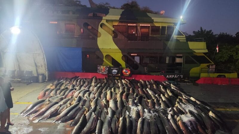 Apreensão de 26 Toneladas de Pescado Ilegal no Amazonas Destaca Problemas Ambientais