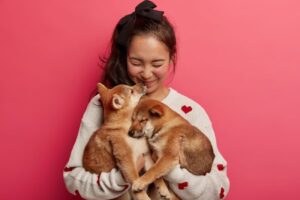 A Nova Tendência na Alimentação de Animais de Estimação: Mães de Pets em Busca de Saúde e Sofisticação