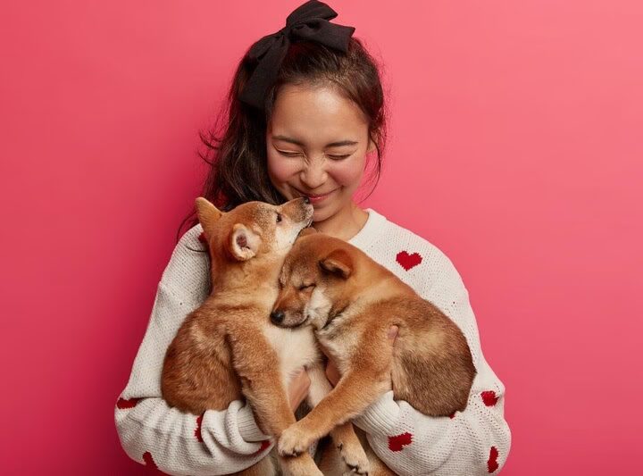 A Nova Tendência na Alimentação de Animais de Estimação: Mães de Pets em Busca de Saúde e Sofisticação