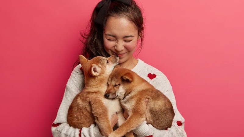 A Nova Tendência na Alimentação de Animais de Estimação: Mães de Pets em Busca de Saúde e Sofisticação