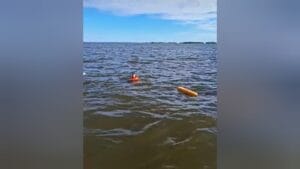 Desaparecimento de Homem Após Queda de Lancha no Rio Tapajós em Santarém