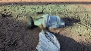 OAB Santarém Condena Crueldade em Caso de Animal Abandonado