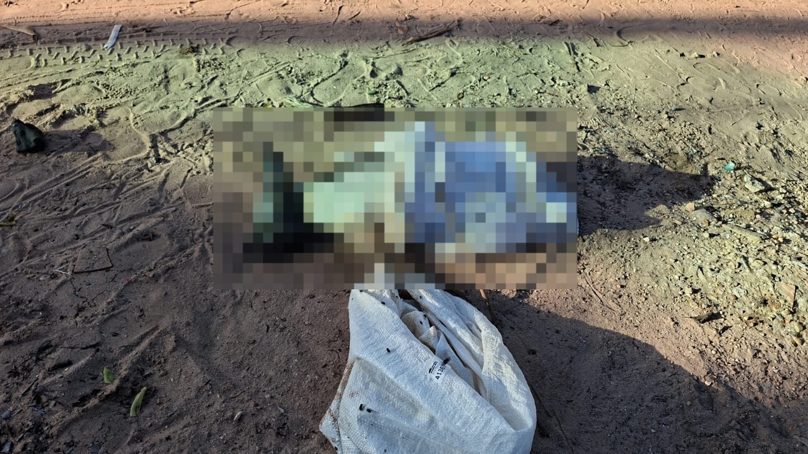 OAB Santarém Condena Crueldade em Caso de Animal Abandonado