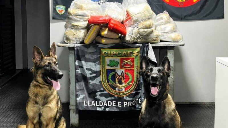 Apreensão de Drogas em Ferryboat no Rio Solimões: Operação Revela Grande Quantidade de Entorpecentes