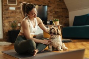 A Conexão Entre a Saúde dos Pets e o Bem-Estar Humano