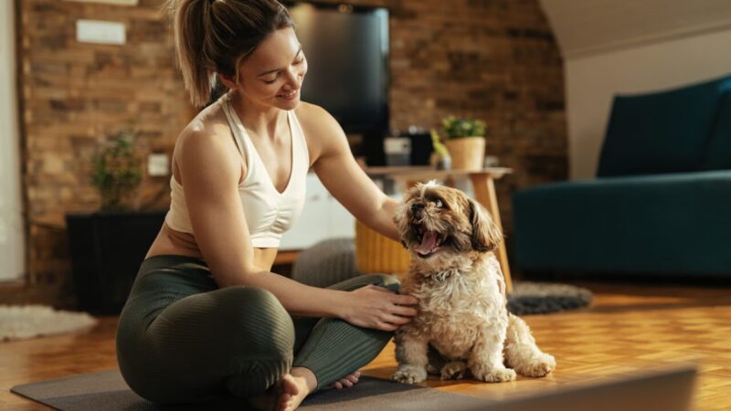 A Conexão Entre a Saúde dos Pets e o Bem-Estar Humano