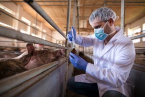O Papel Fundamental do Zootecnista na Produção Animal Brasileira