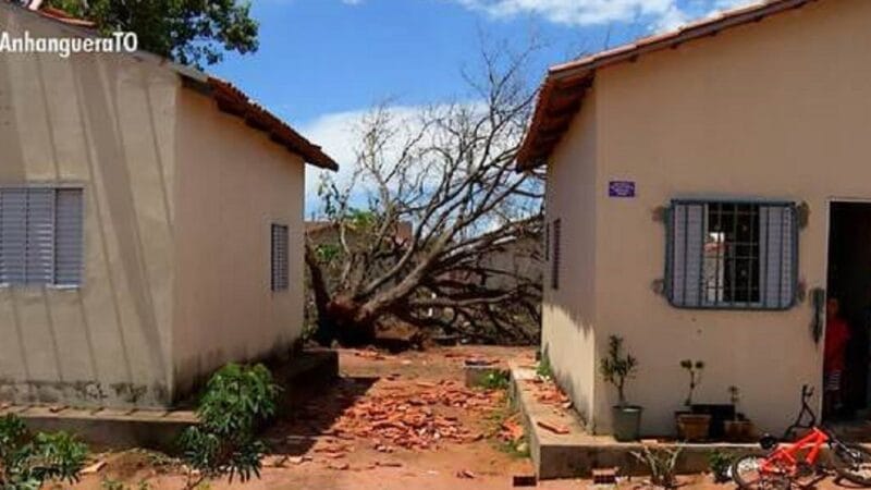 Prefeitura de Palmas Adquire Cestas Básicas Sem Licitação para Ajudar Vítimas de Temporal