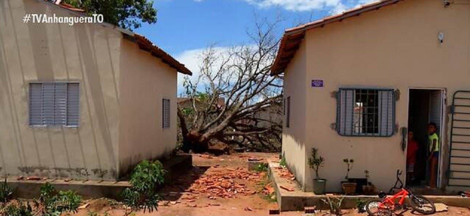 Prefeitura de Palmas Adquire Cestas Básicas Sem Licitação para Ajudar Vítimas de Temporal