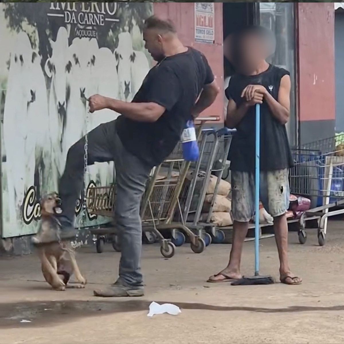 Homem Detido por Maus-Tratos a Cachorro em Porto Velho