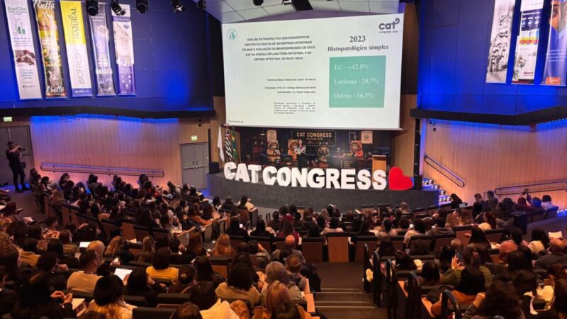 A Importância da Biópsia no Diagnóstico de Enteropatias Crônicas em Felinos