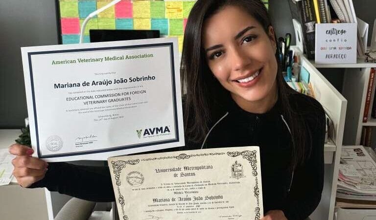 Como Validar Seu Diploma de Medicina Veterinária para Atuar nos EUA