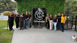 PremieRpet e Instituto Caramelo: Uma Parceria em Prol dos Gatos Resgatados