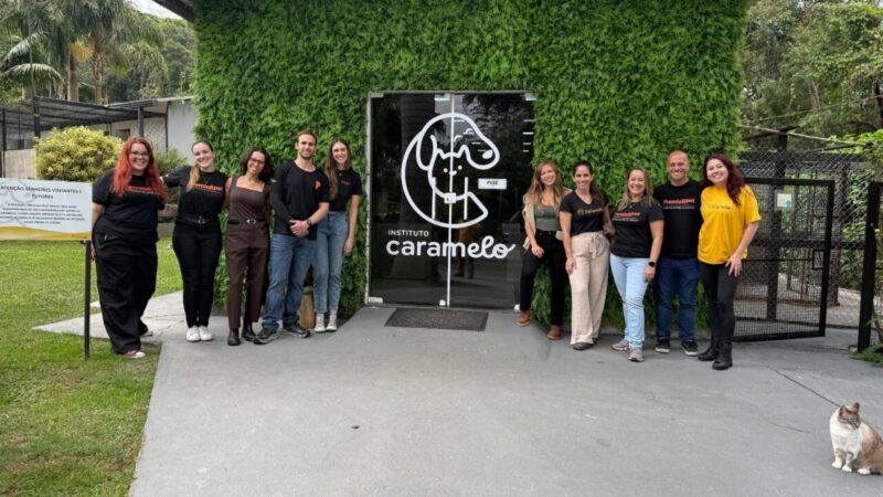 PremieRpet e Instituto Caramelo: Uma Parceria em Prol dos Gatos Resgatados