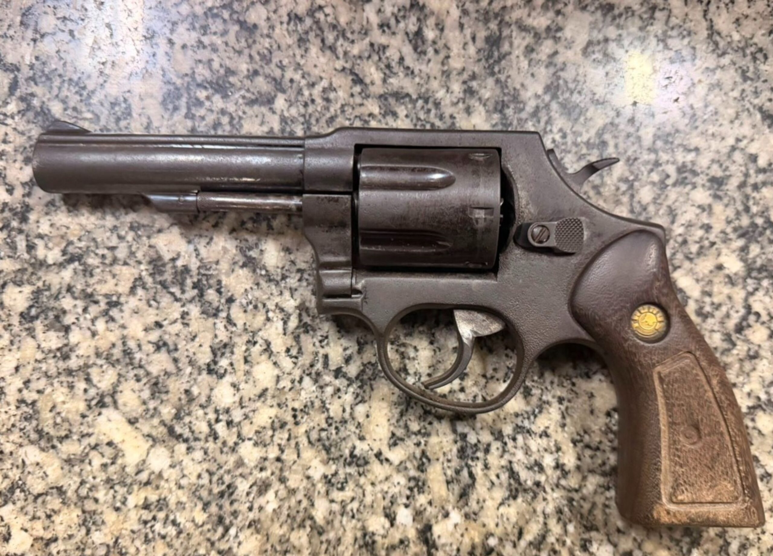 Homem Detido em Boa Vista por Posse Ilegal de Arma em Casinha de Cachorro