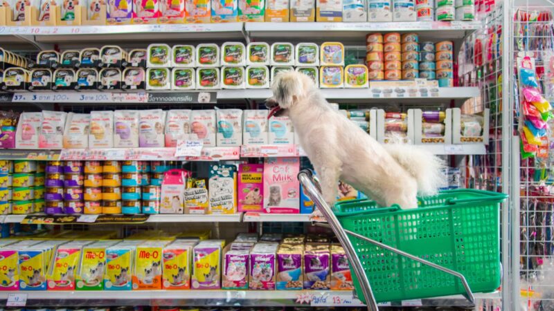Distribuidores: O Elo Estratégico do Crescimento do Mercado Veterinário no Brasil