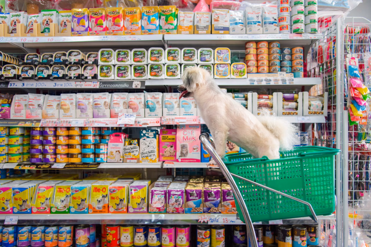 Distribuidores: O Elo Estratégico do Crescimento do Mercado Veterinário no Brasil