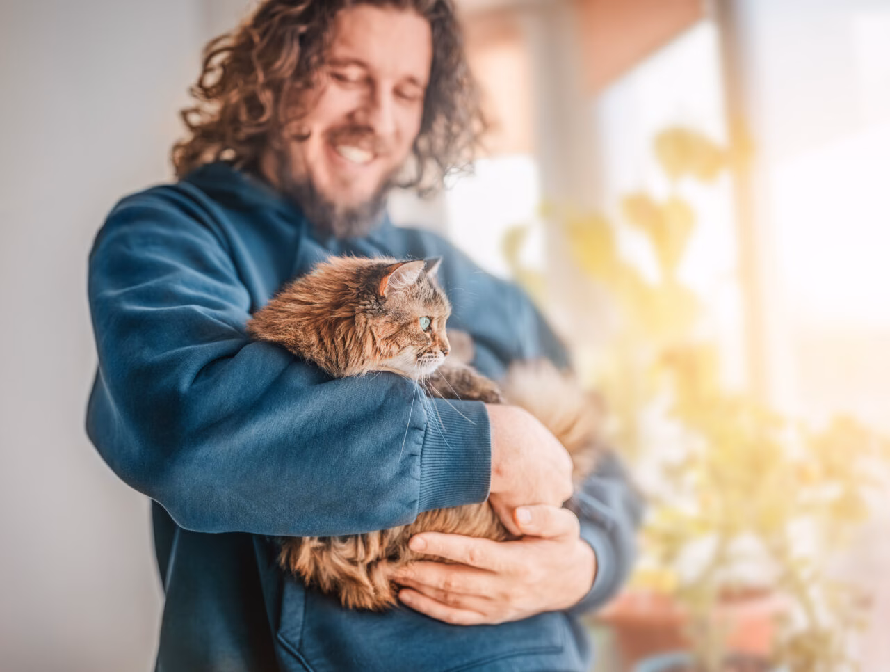 Crescimento dos Suplementos para Gatos: Entenda a Nova Tendência do Mercado Pet