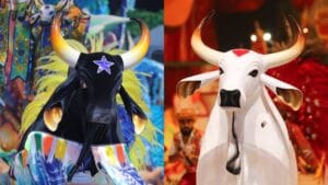Caprichoso e Garantido: O Grande Encontro no Festival de Parintins 2026