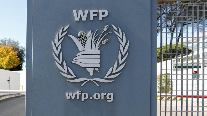 Papa Leão XIV fará visita histórica ao Programa Mundial de Alimentos em Roma
