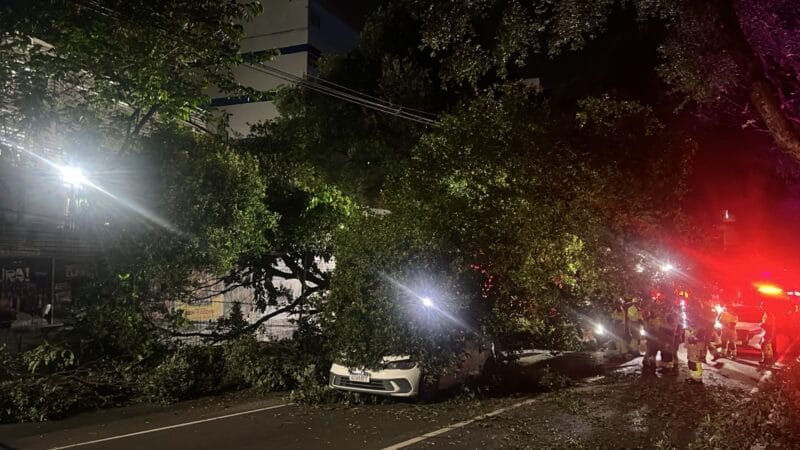 Árvore Colapsa em Avenida de Manaus e Danifica Veículos
