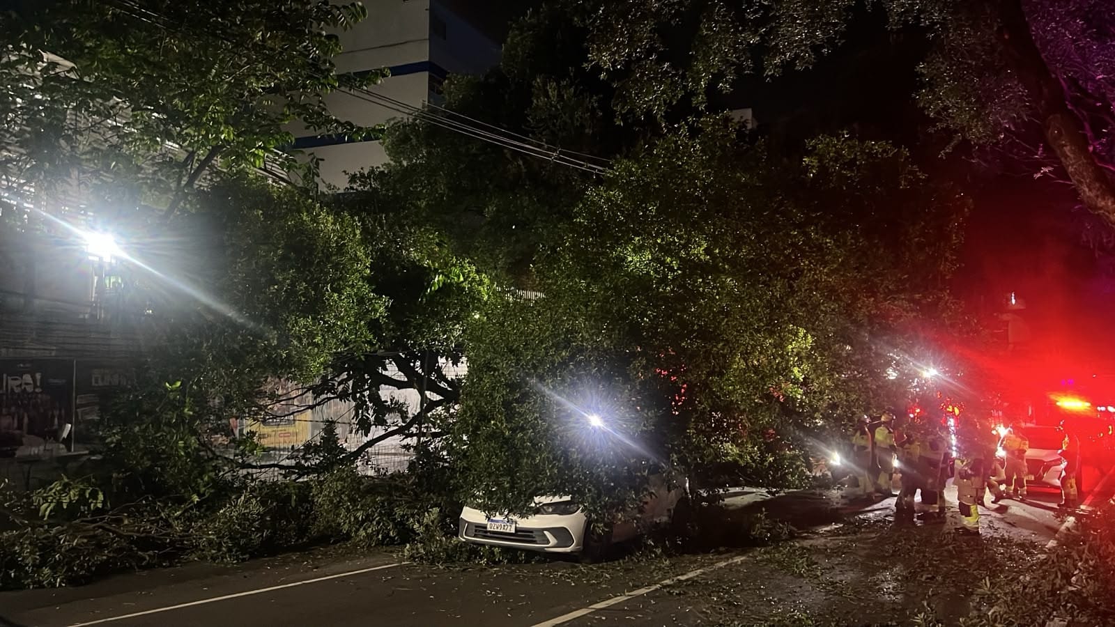 Árvore Colapsa em Avenida de Manaus e Danifica Veículos