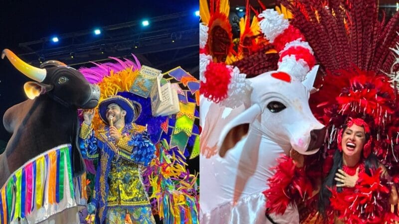 Festival de Parintins 2026: Uma Celebração de Cultura e Tradição