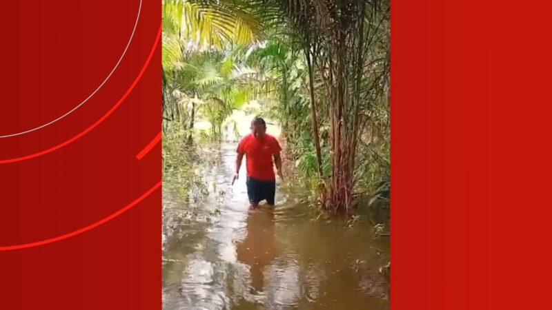 Enchente Devasta Plantações e Mobiliza Ajuda Humanitária para Yanomami no Amazonas