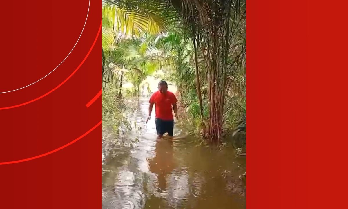 Enchente Devasta Plantações e Mobiliza Ajuda Humanitária para Yanomami no Amazonas