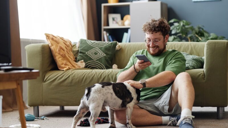 O Impacto das Redes Sociais no Bem-Estar Animal: Uma Análise Crítica