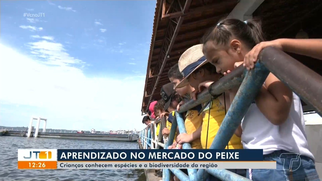 Visita Pedagógica ao Mercado do Peixe: Crianças de Santarém Aprendem sobre a Preservação Ambiental dos Botos