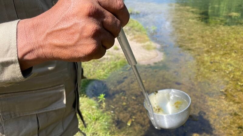 Queda de Casos de Malária no Amazonas: Dados e Medidas de Prevenção