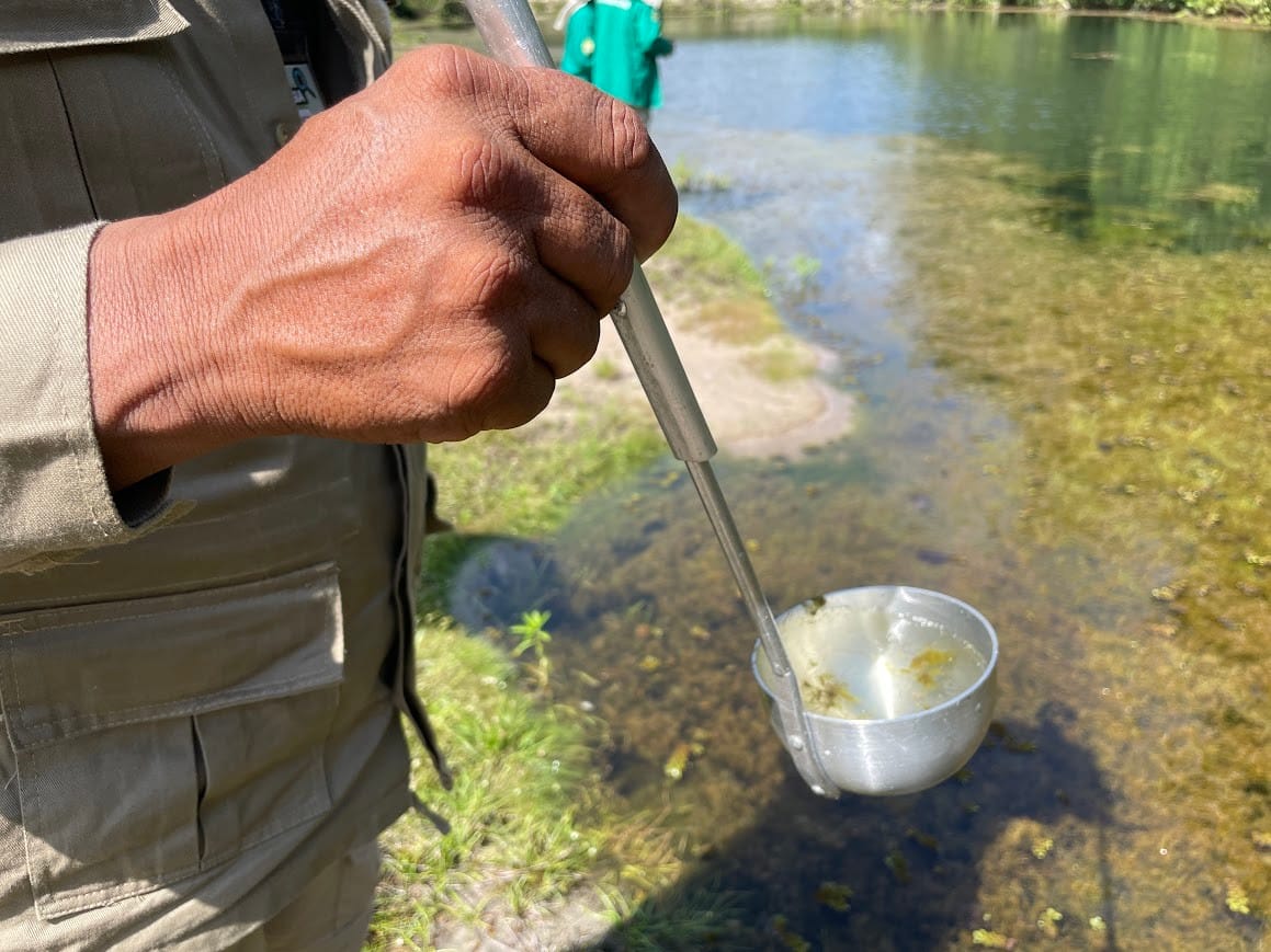 Queda de Casos de Malária no Amazonas: Dados e Medidas de Prevenção