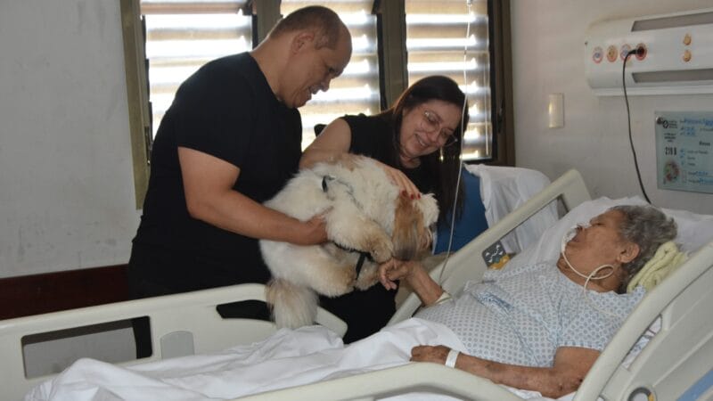 Reencontro Emocionante: Paciente de 90 Anos Se Encontra com Seu Cachorro no Hospital de Palmas
