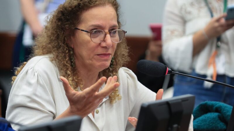 Parlamentares Brasileiros Apresentam Contraponto à Direita em Visita aos EUA