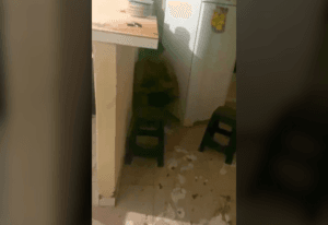 Invasão Doméstica em Formoso do Araguaia: Moradora Relata Momento de Terror