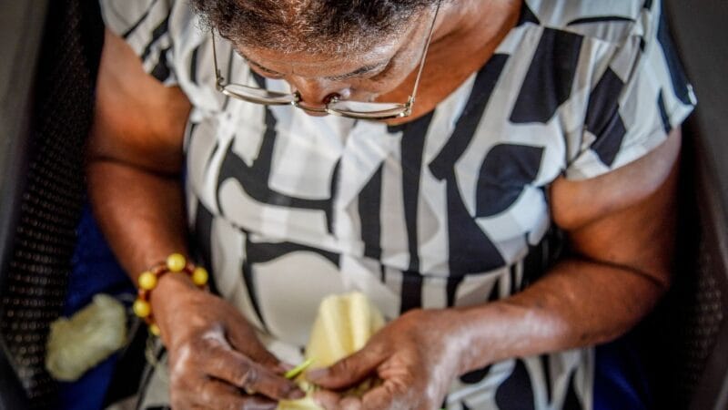 Novo Programa de Atenção Domiciliar Melhora Cuidados com Idosos no Brasil