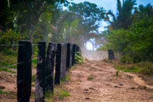 Ex-Delegado Condenado a 45 Anos de Prisão por Homicídio na Reserva Extrativista de Rondônia