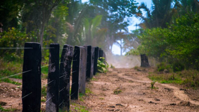 Ex-Delegado Condenado a 45 Anos de Prisão por Homicídio na Reserva Extrativista de Rondônia