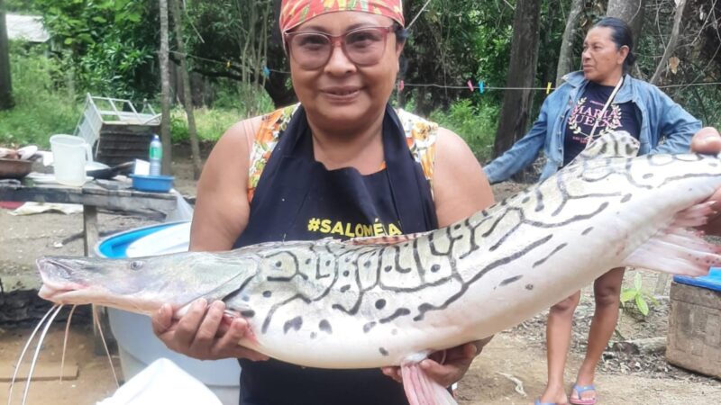 Bar da Dona Rosinha: o cardápio que muda conforme a pesca no Rio Branco