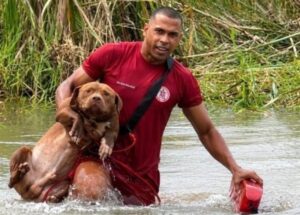 Resgate Heroico: Pit Bulls Salvos de Lagoa em Eunápolis, Bahia