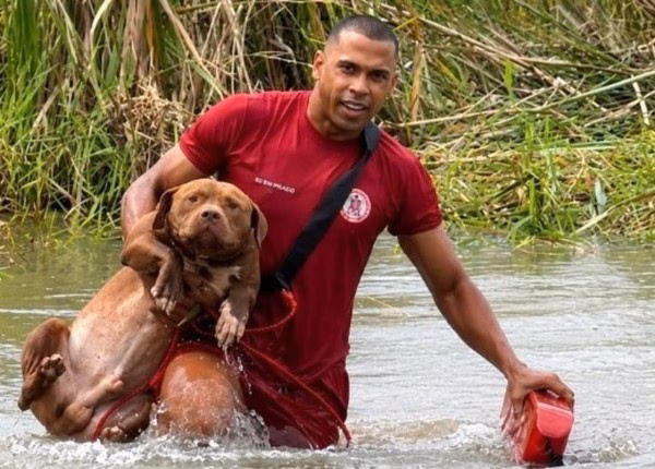 Resgate Heroico: Pit Bulls Salvos de Lagoa em Eunápolis, Bahia