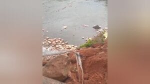 Caminhão Cai em Ponte Sobre o Rio Curuá-Una em Santarém, Pará