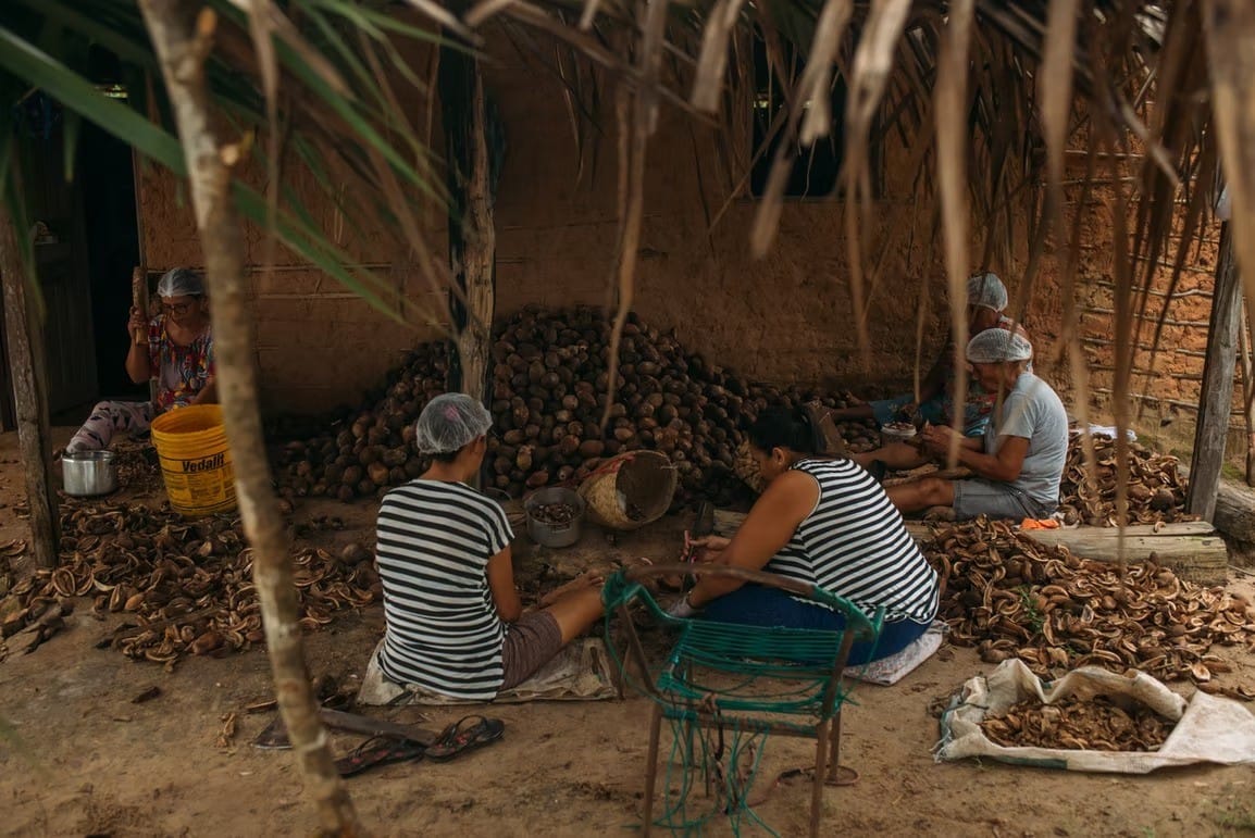 Quebradeiras de Coco Babaçu do Tocantins Recebem Reconhecimento Cultural