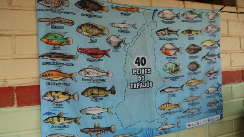 Inscrições Abertas para Concurso de Pintura e Histórias em Quadrinhos sobre Peixes do Tapajós