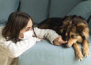 Cães como Aliados na Terapia de Saúde Mental: Uma Nova Abordagem
