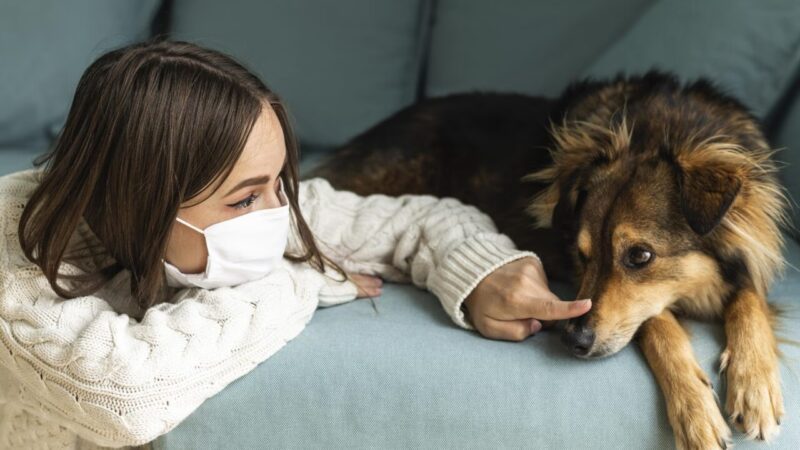 Cães como Aliados na Terapia de Saúde Mental: Uma Nova Abordagem