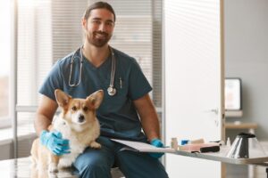 Concursos Públicos para Médicos-Veterinários: Como Conquistar uma Vaga