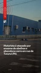 Motorista sofre ataque de abelhas e deixa veículo abandonado em Tucuruí